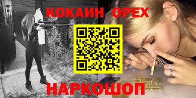 индика Лесосибирск