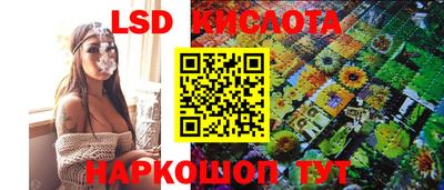 индика Лесосибирск