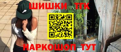 индика Лесосибирск
