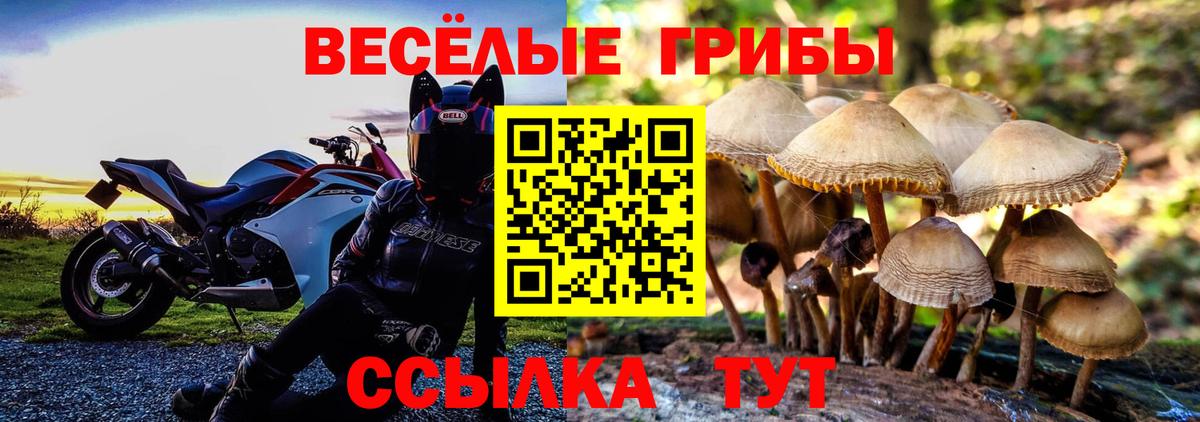 где найти   Вход с VPN  Галлюциногенные грибы мицелий  Тимашёвск  Галлюциногенные грибы ЛСД 