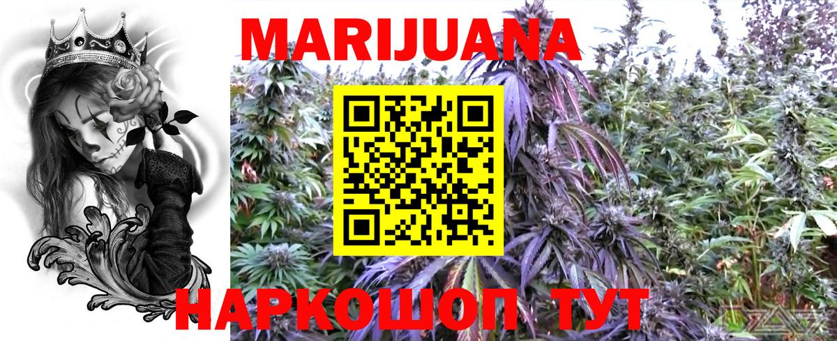 Бошки марихуана конопля  Вход с VPN  Бошки марихуана OG Kush  Тимашёвск  Канабис OG Kush 